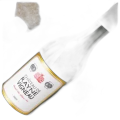 photo Grand Vin Blanc Sec Rayne Vigneau Bordeaux 2022