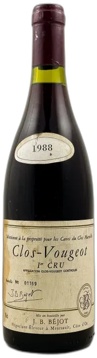 vue du vin Jean-Baptiste Béjot Clos Vougeot