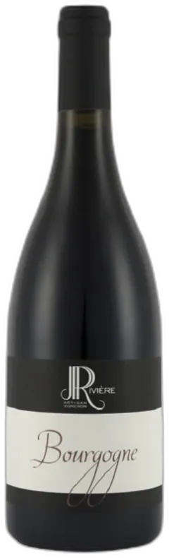 photo Pinot Noir Bourgogne