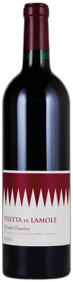 photos du vin Chianti Classico Docg Filetta di Lamole Fontodi 2021