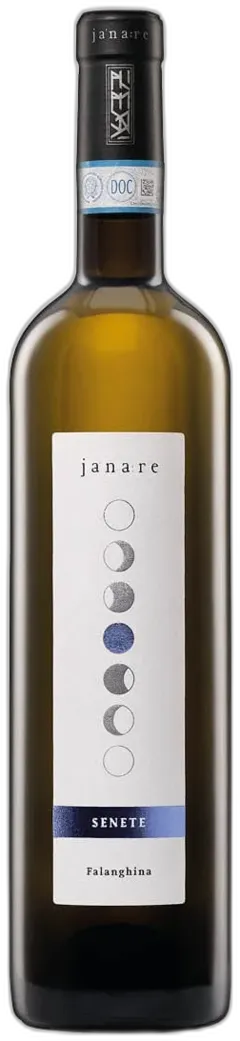 vue du vin Falanghina Del Sannio Doc Janare Senete la Guardiense