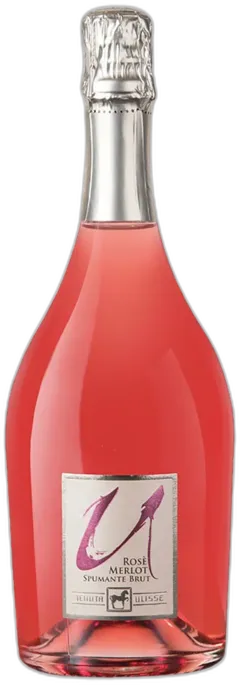aperçu du vin Vino Spumante di Qualità Brut Merlot Tenuta Ulisse