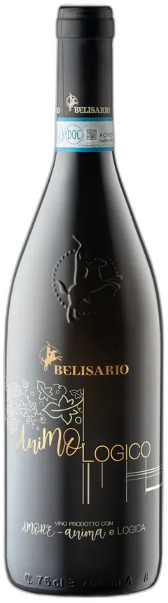 vue du vin Verdicchio di Matelica Doc Bio no Solfiti Animologico Belisario 2023