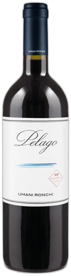 image du vin Marche Igt Rosso Pelago Umani Ronchi 2021
