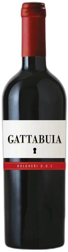 photo du vin Bolgheri Doc Gattabuia Piccini 1882 2021