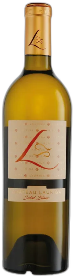 vue du vin Château Lauriga