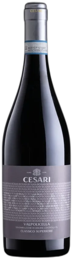 photo du vin Valpolicella Doc Classico Superiore Bosan Gerardo Cesari 2021