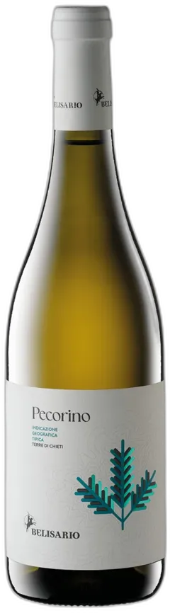 photo du vin Terre di Chieti Pecorino Igt Belisario 2024