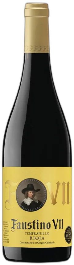 vue du vin Rioja Doca Tempranillo Faustino Vii Bodegas Faustino 2023
