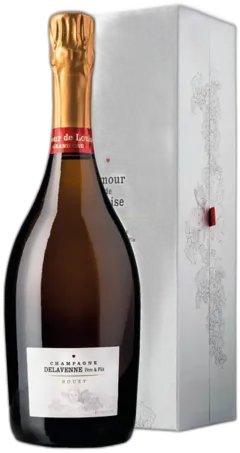 vue du vin Aoc Grand Cru Bouzy Brut Amour de Louise Delavenne