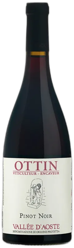 photo Pinot Noir Elio Ottin