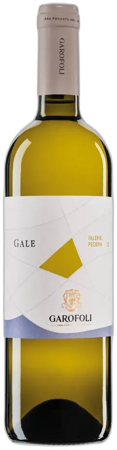 vue du vin Falerio Pecorino Doc Gale Garofoli 2023