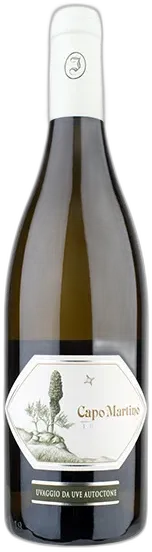 image du vin Venezia Giulia Igt Bianco Capo Martino Jermann