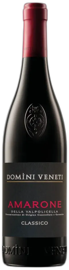 photo du vin Amarone Della Valpolicella Classico Docg Domini Veneti 2021