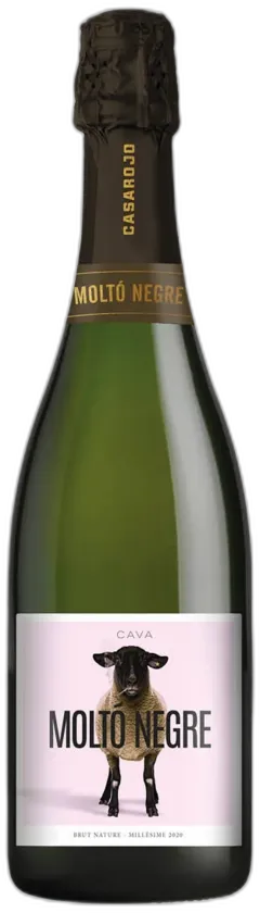aperçu du vin Cava do Brut Nature Rosato Moltó Negre Casa Rojo 2021