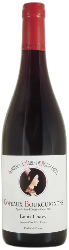 photo Hommage à Marie de Bourgogne