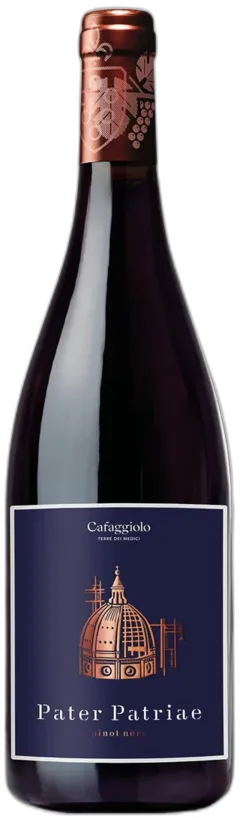 photo du vin Toscana Igt Pinot Nero Pater Patriae Tenuta Cafaggiolo 2016