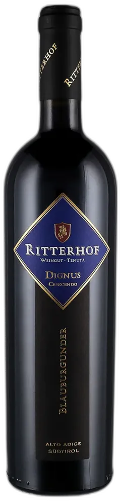 photo du vin Südtirol Alto Adige Doc Merlot Mollis Ritterhof 2020