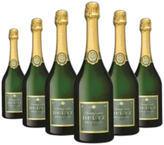 vue du vin Deutz Brut Classic Champagne