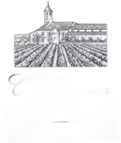 image du vin Croix Canon 2020