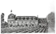 photo Château la Mission Haut-Brion Blanc 2021