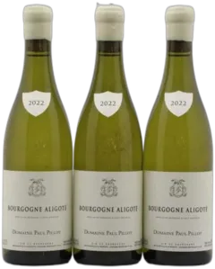 photo Bourgogne Aligoté Paul Pillot 2022