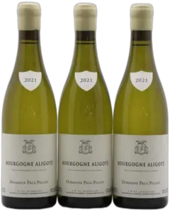 photo Bourgogne Aligoté Paul Pillot 2021