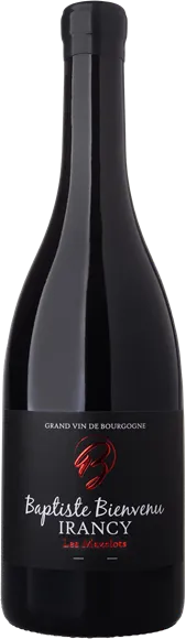 photo du vin Irancy les Mazelots Rouge 2021