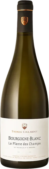 image du vin Bourgogne la Plante des Champs Blanc 2021
