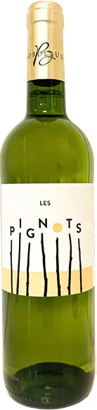 vue du vin les Pignots Bordeaux Blanc