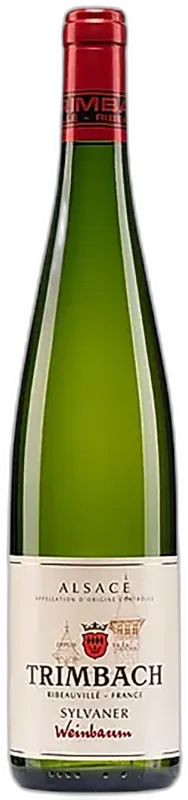 photo Alsace Sylvaner Weinbaum Blanc