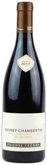 vue du vin Chéron Gevrey-Chambertin "les Seuvrées