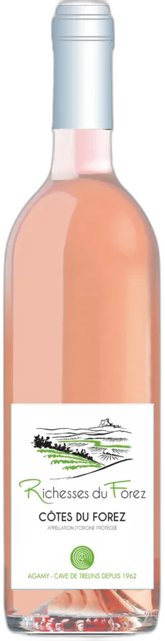 image du vin Côtes du Forez Richesses du Forez