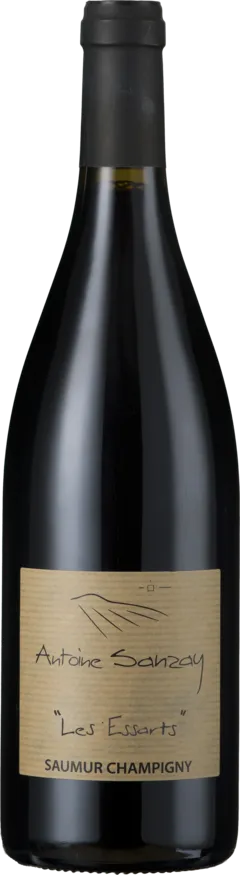 illustration du vin Saumur les Salles Martin 2018 Antoine Sanzay