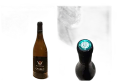 photo du vin Chablis 2023 Vincent Wengier