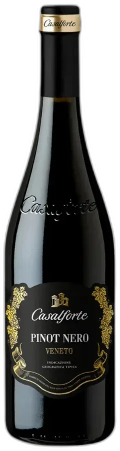 photo du vin Pinot Nero 2021 Igt Veneto Casalforte