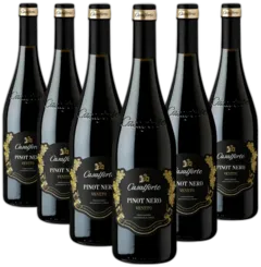 photo du vin Pinot Nero 2021 Igt Veneto Casalforte