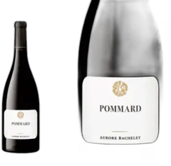 capture du vin Aurore Bachelet Pommard 2023