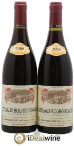photo Bourgogne Coteaux Bourguignons Charles Noellat