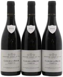 photo Clos de la Roche Grand Cru Domaine Amiot et Fils