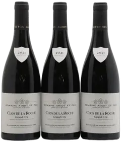 photo Clos de la Roche Grand Cru Domaine Amiot et Fils