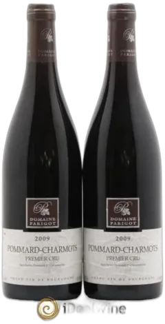 vue du vin Pommard 1er Cru Charmots Domaine Parigot 2009