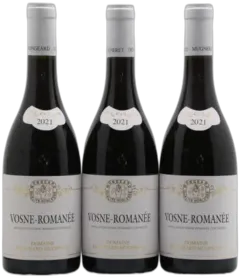 photo Vosne-Romanée Mongeard-Mugneret