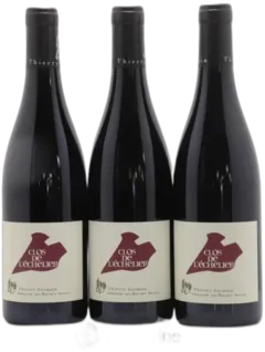 photo Saumur-Champigny Clos de L'Echelier