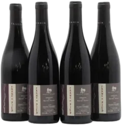 photo Saumur-Champigny Franc de Pied Domaine des Roches Neuves Thierry Germain