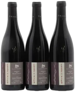 photo Saumur-Champigny Franc de Pied Domaine des Roches Neuves Thierry Germain