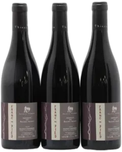 photo Saumur-Champigny Franc de Pied Domaine des Roches Neuves Thierry Germain