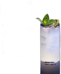 photo du vin Mojito, Fetichist