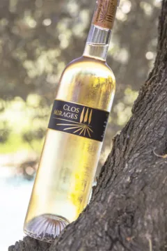 vue du vin Clos Mirages 2024 Côtes de Provence Bio