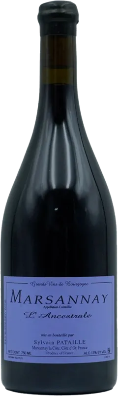 illustration du vin Domaine Sylvain Pataille Marsannay 